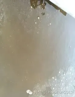 高温季节如何处理池塘水红的问题