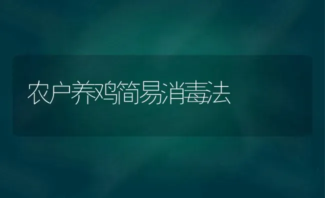 农户养鸡简易消毒法 | 家禽养殖