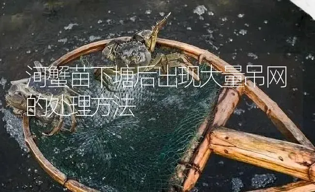 河蟹苗下塘后出现大量吊网的处理方法 | 淡水养殖