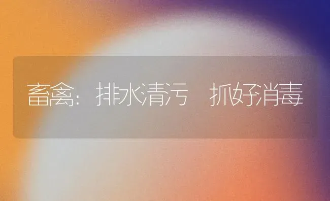 畜禽：排水清污 抓好消毒 | 家禽养殖