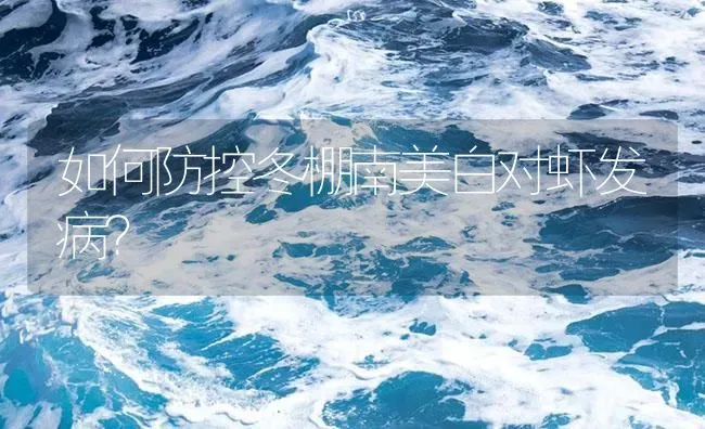 如何防控冬棚南美白对虾发病？ | 海水养殖