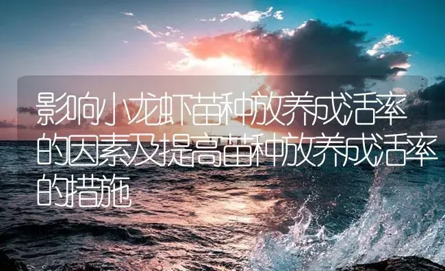 罗氏沼虾养殖病害的综合预防 | 海水养殖
