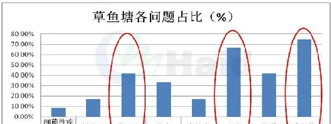 清明前后，草鱼如何渡过“鬼门关”