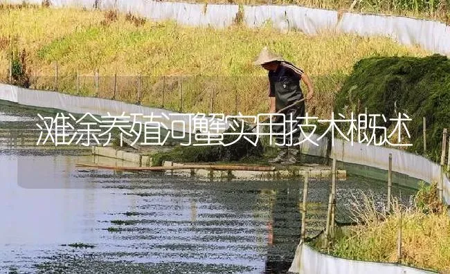 滩涂养殖河蟹实用技术概述 | 淡水养殖