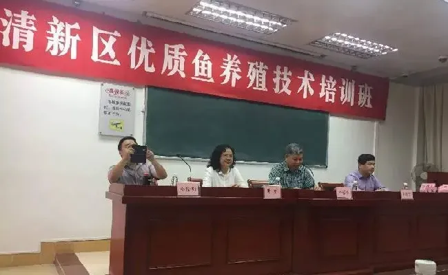 桂花鱼养殖技术培训班心得体会分享