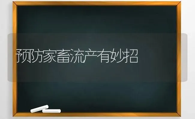 预防家畜流产有妙招 | 家畜养殖