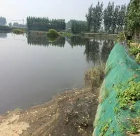 高温季节如何处理池塘水红的问题