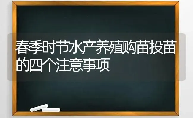 春季时节水产养殖购苗投苗的四个注意事项 | 动物养殖百科