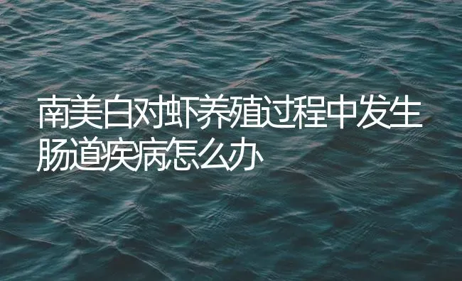 南美白对虾养殖过程中发生肠道疾病怎么办 | 海水养殖
