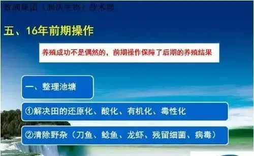 2016年河蟹养殖建议及前期操作方法