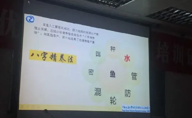 桂花鱼养殖技术培训班心得体会分享