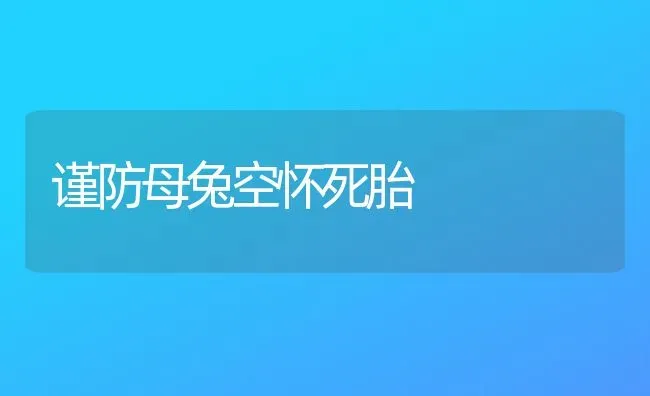 谨防母兔空怀死胎 | 家畜养殖