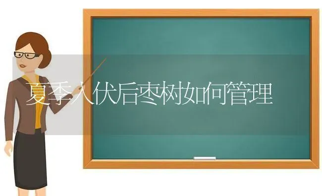 勾帮子熏鸡传统加工方法 | 家禽养殖