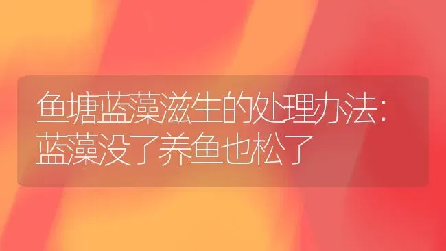 鱼塘蓝藻滋生的处理办法：蓝藻没了养鱼也松了 | 动物养殖百科