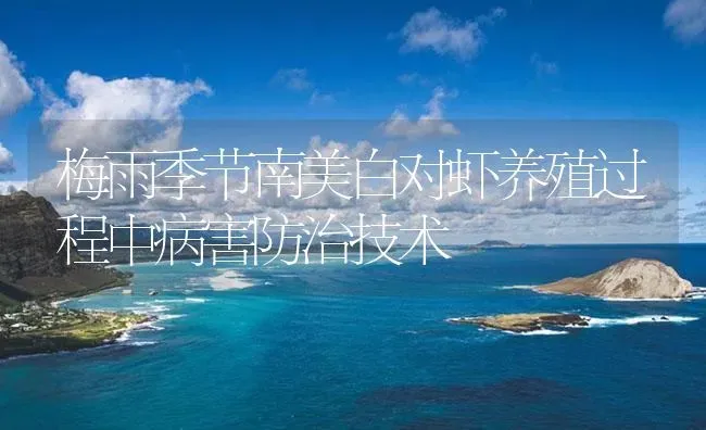 梅雨季节南美白对虾养殖过程中病害防治技术 | 海水养殖