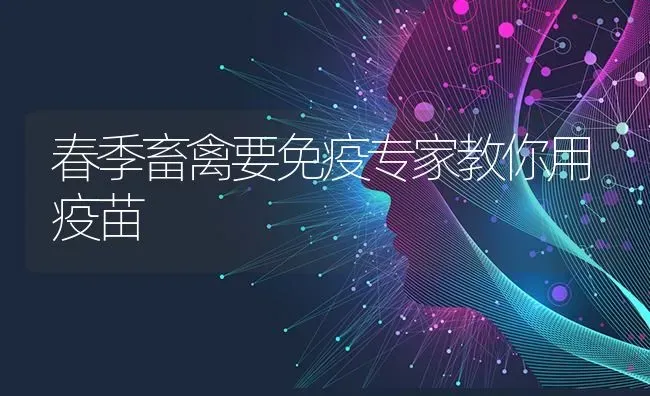 春季畜禽要免疫专家教你用疫苗 | 家禽养殖