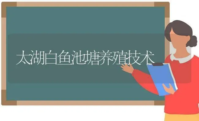 太湖白鱼池塘养殖技术 | 淡水养殖