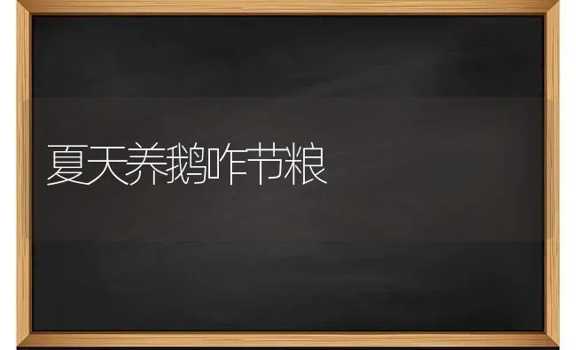 夏天养鹅咋节粮 | 家禽养殖