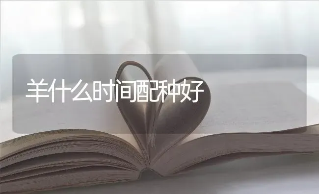 羊什么时间配种好 | 家畜养殖
