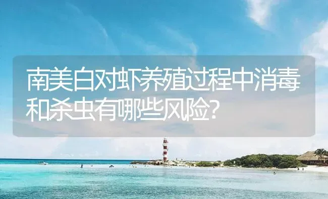 南美白对虾养殖过程中消毒和杀虫有哪些风险？ | 海水养殖