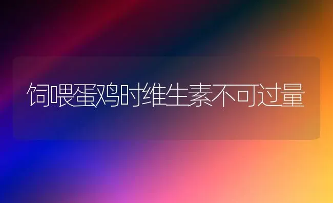 饲喂蛋鸡时维生素不可过量 | 家禽养殖