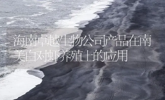 海南卓越生物公司产品在南美白对虾养殖上的应用 | 海水养殖