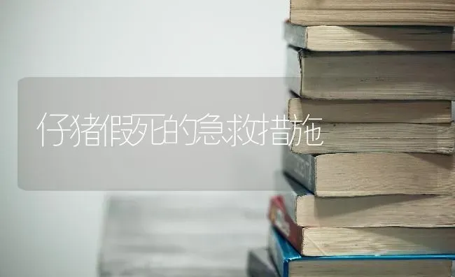 仔猪假死的急救措施 | 家畜养殖
