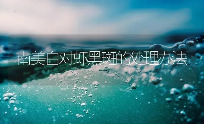 南美白对虾黑斑的处理办法 | 海水养殖