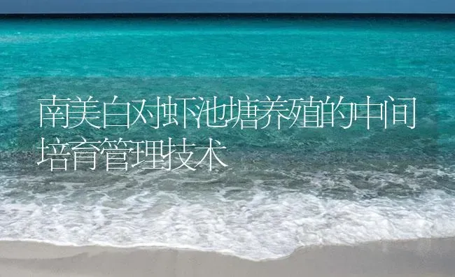 南美白对虾池塘养殖的中间培育管理技术 | 海水养殖