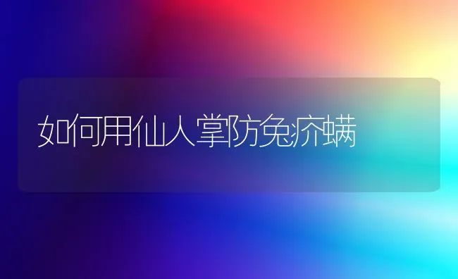 如何用仙人掌防兔疥螨 | 家畜养殖