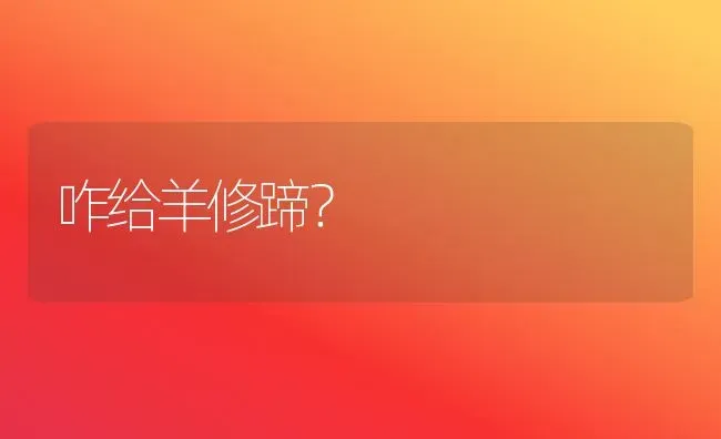 咋给羊修蹄？ | 家畜养殖