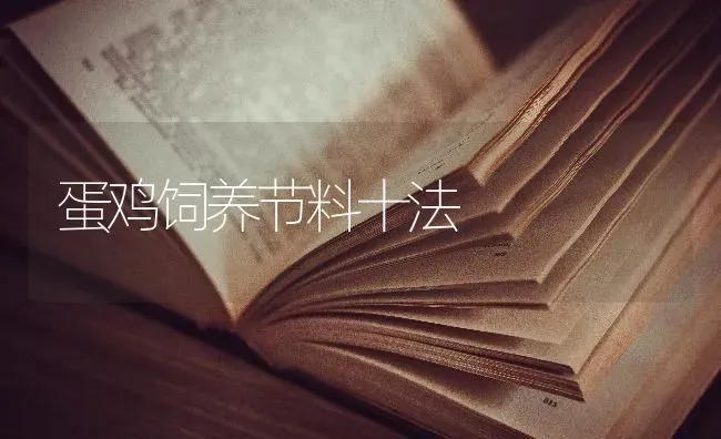 蛋鸡饲养节料十法 | 家禽养殖