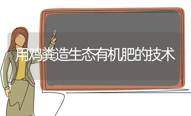 用鸡粪造生态有机肥的技术 | 家禽养殖