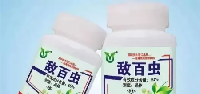 水产动物疾病的流行特点和防控方法