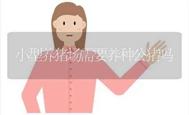 小型养猪场需要养种公猪吗 | 家畜养殖