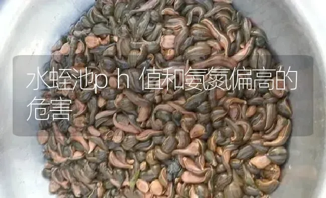 水蛭池ph值和氨氮偏高的危害 | 特种养殖