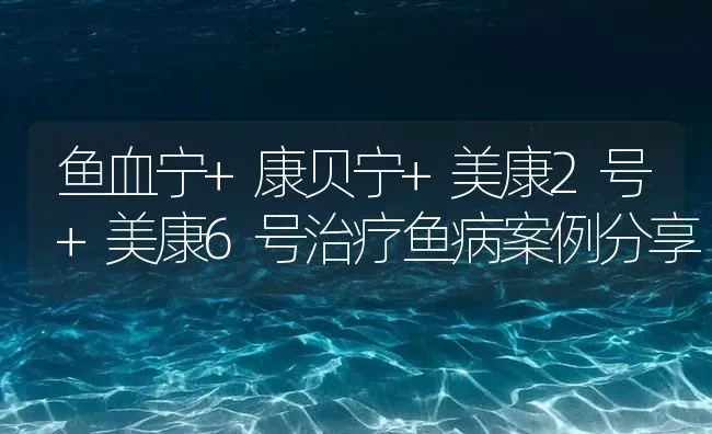 鱼血宁+康贝宁+美康2号+美康6号治疗鱼病案例分享 | 养殖病虫害防治