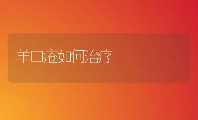 羊口疮如何治疗 | 家畜养殖