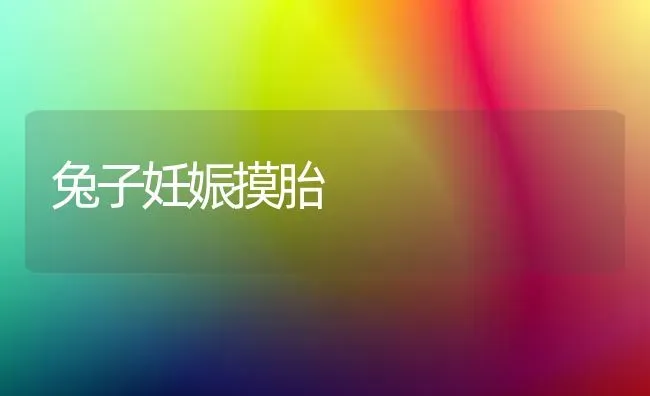 兔子妊娠摸胎 | 家畜养殖
