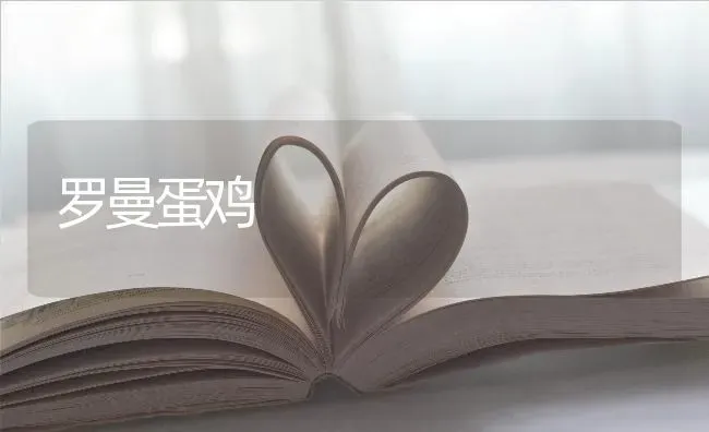 罗曼蛋鸡 | 家禽养殖