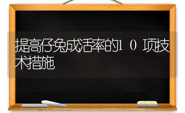 提高仔兔成活率的10项技术措施 | 家畜养殖