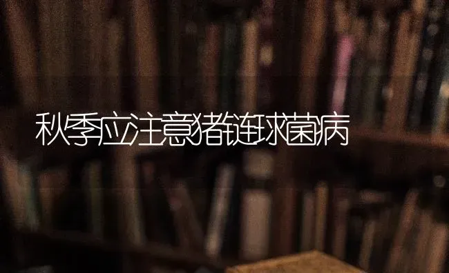 秋季应注意猪链球菌病 | 家畜养殖