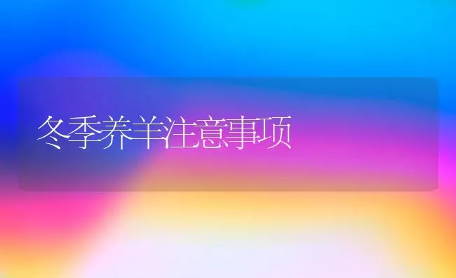 冬季养羊注意事项 | 家畜养殖