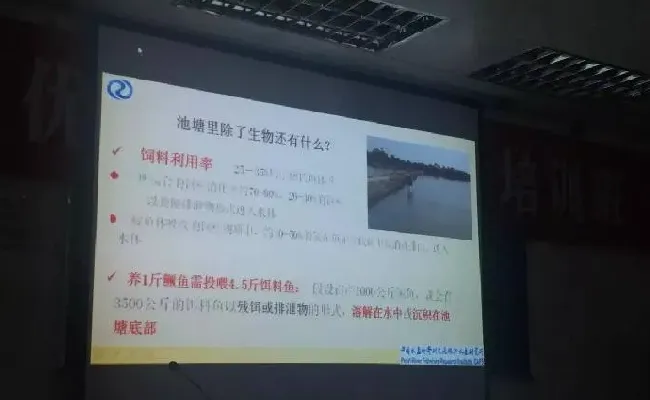 桂花鱼养殖技术培训班心得体会分享