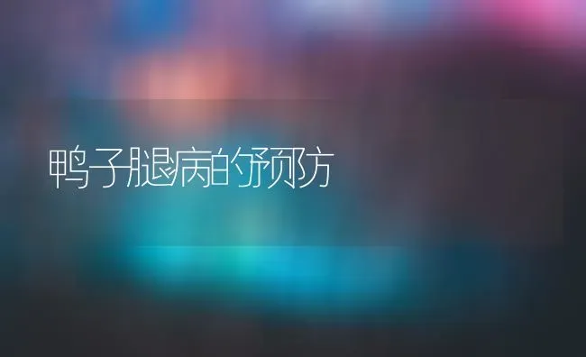 鸭子腿病的预防 | 家禽养殖