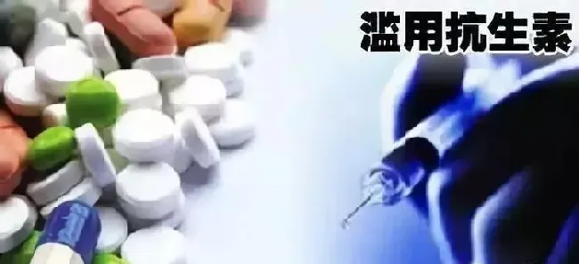 水产动物疾病的流行特点和防控方法