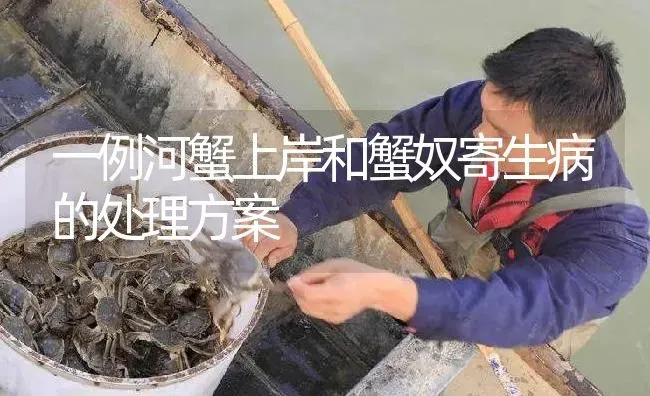 一例河蟹上岸和蟹奴寄生病的处理方案 | 淡水养殖