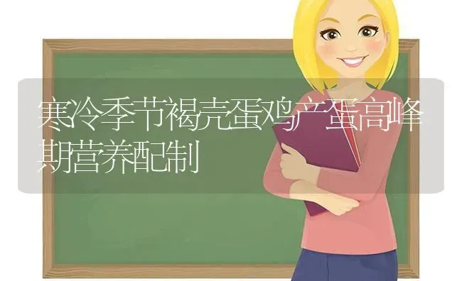 寒冷季节褐壳蛋鸡产蛋高峰期营养配制 | 家禽养殖