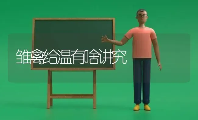 雏禽给温有啥讲究 | 家禽养殖