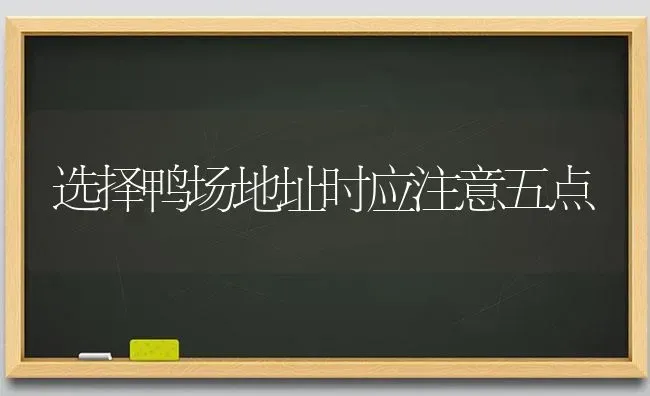 选择鸭场地址时应注意五点 | 家禽养殖